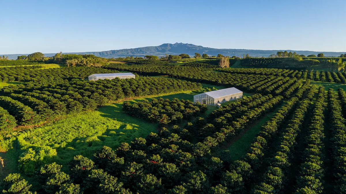 Profitable South Kona Coffee Estate with Lease Income Until 2034